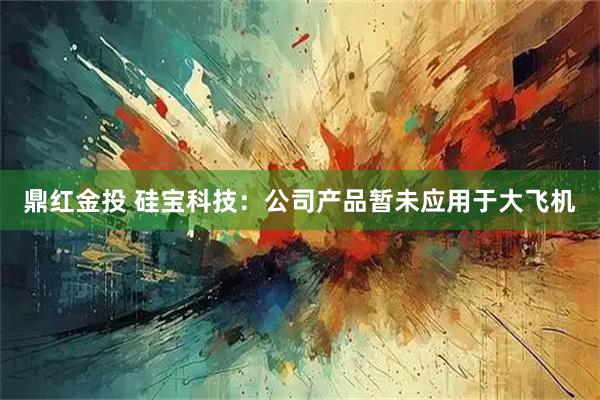 鼎红金投 硅宝科技：公司产品暂未应用于大飞机