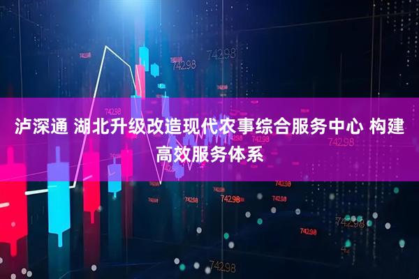 泸深通 湖北升级改造现代农事综合服务中心 构建高效服务体系